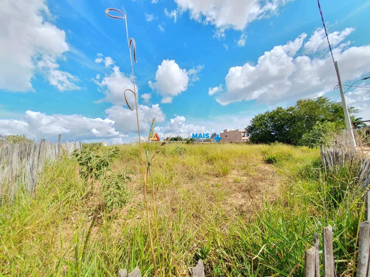 Lote Comercial à venda no São Geraldo: 