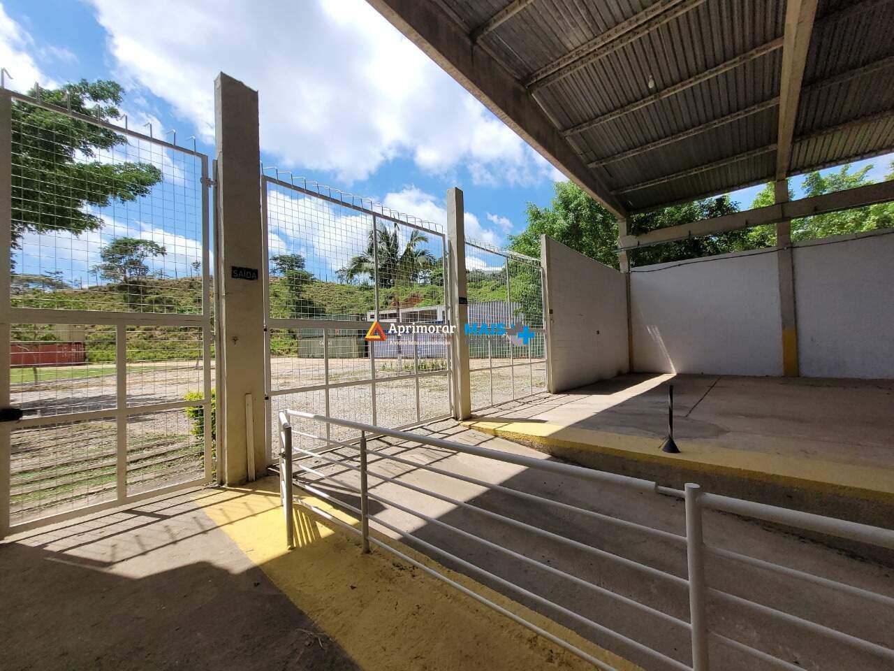 Galpão à venda no Distrito Industrial Demerval Chagas Almeida: 