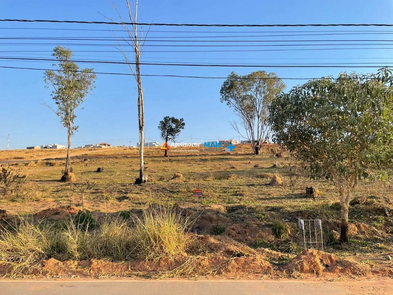 Lote Comercial à venda no Comercial César Almeida: 