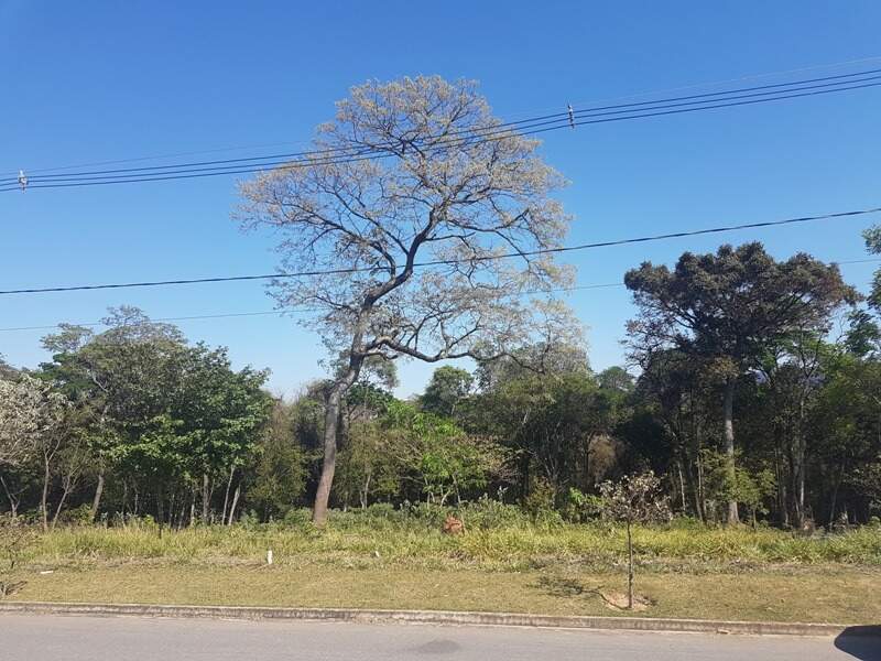 Lote em condomínio à venda no Cond. Gran Royalle: 
