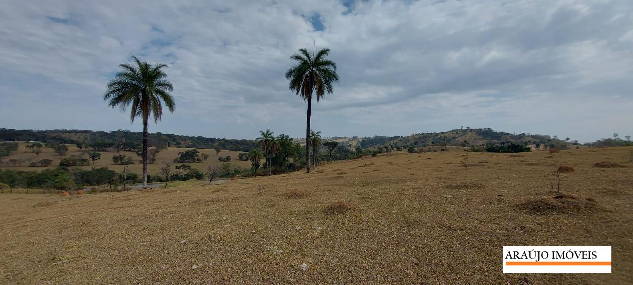 AREA à venda no Santa Maria: 