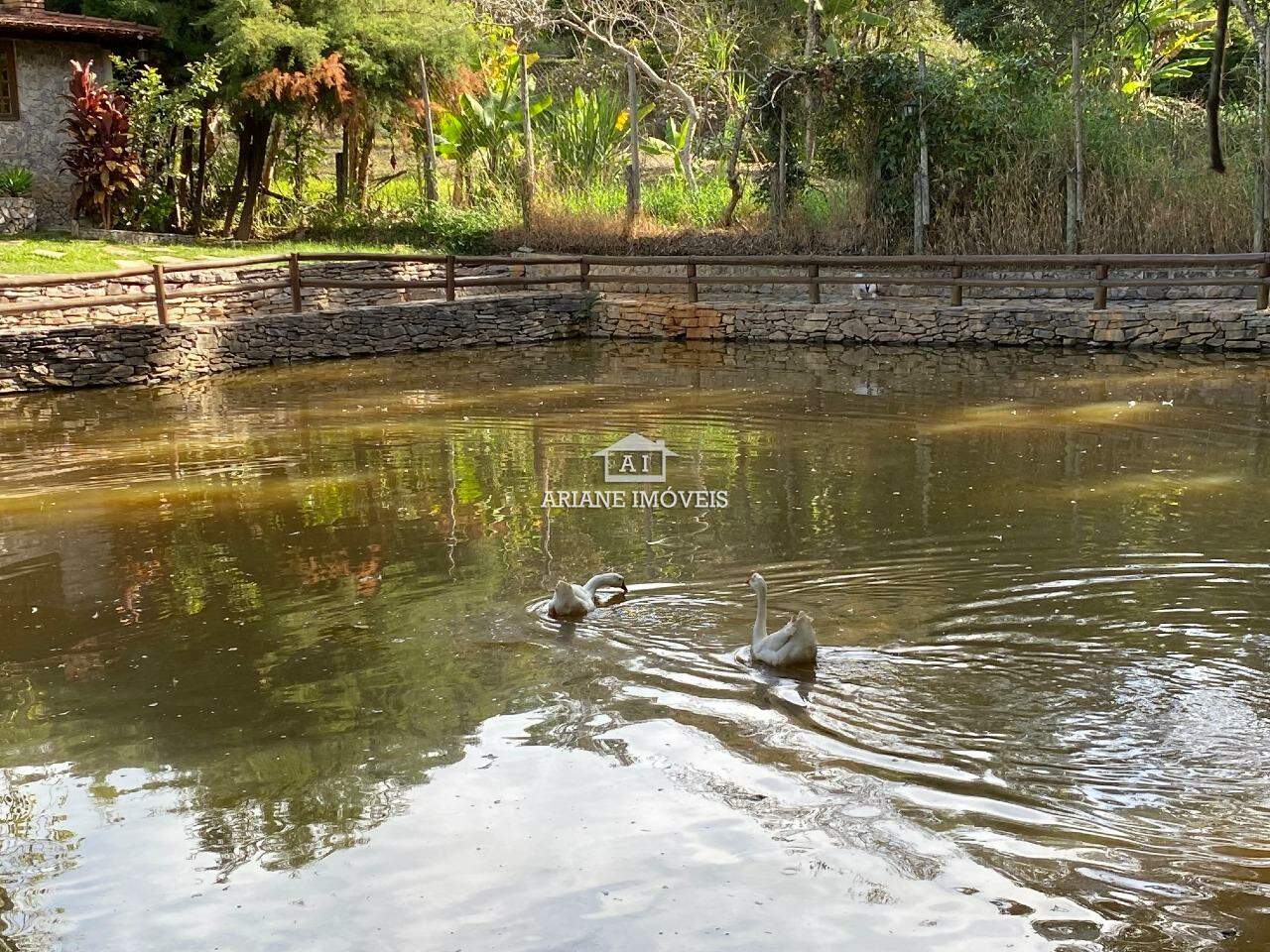 Casa de Condomínio à venda com 9 quartos, 5000m² - Foto 5