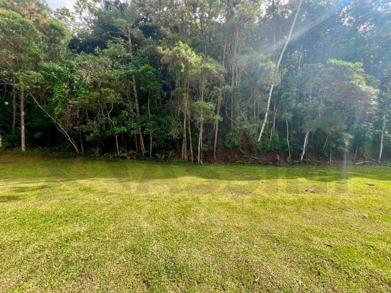 Lote à venda no Souza Cruz: 