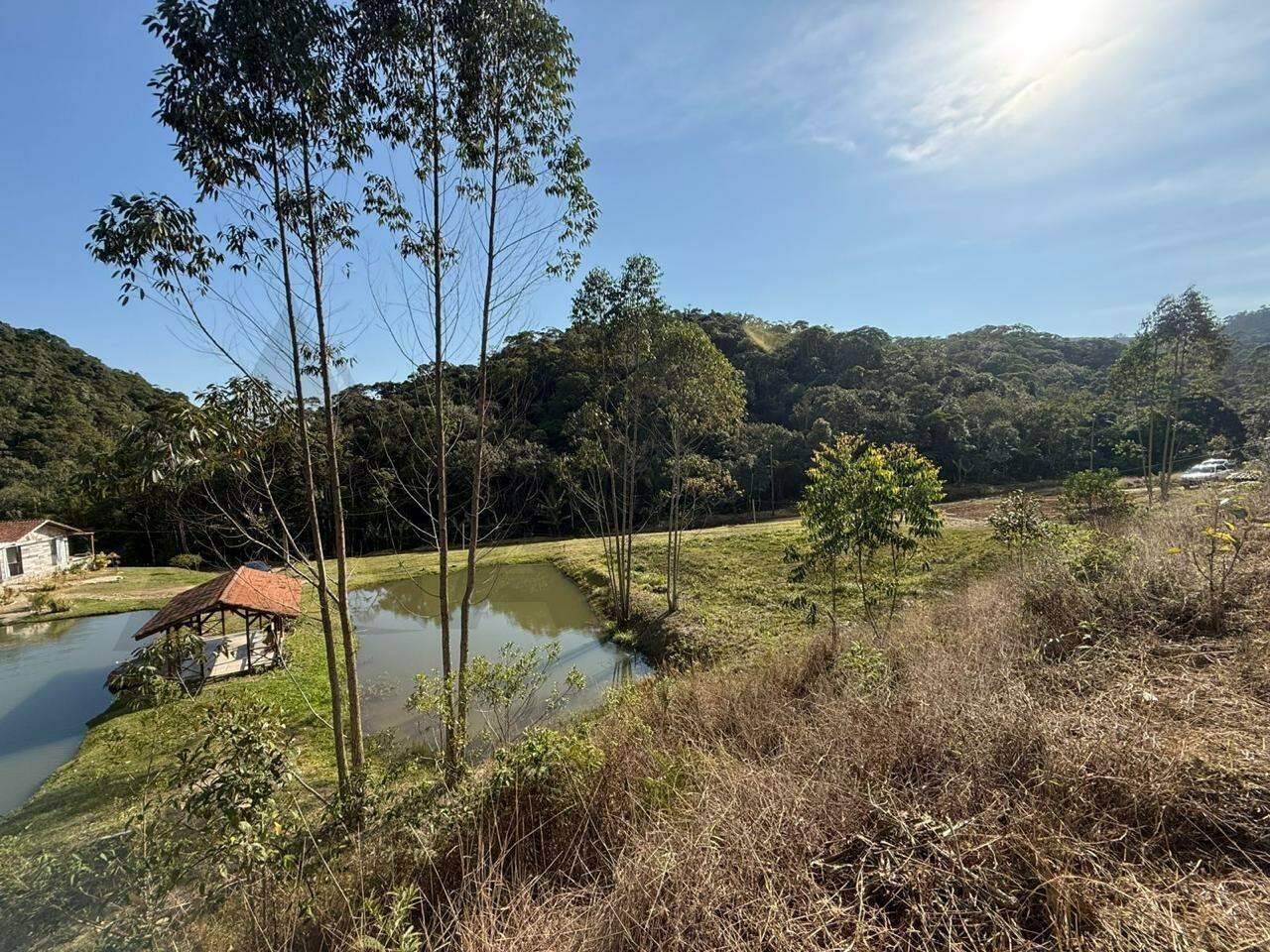 Sítio à venda no Cedro Alto: 