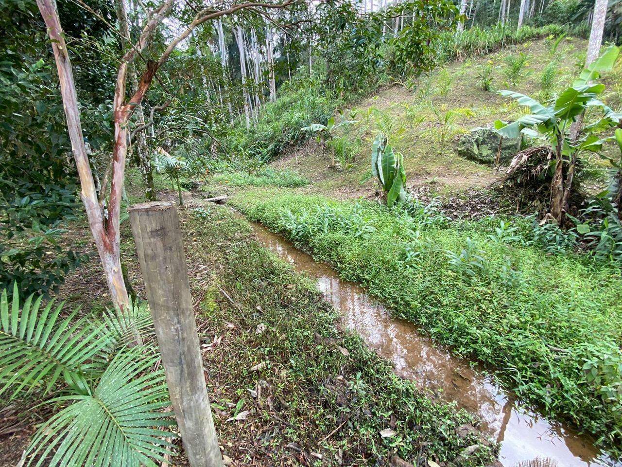 Lote à venda no Sao pedro: 