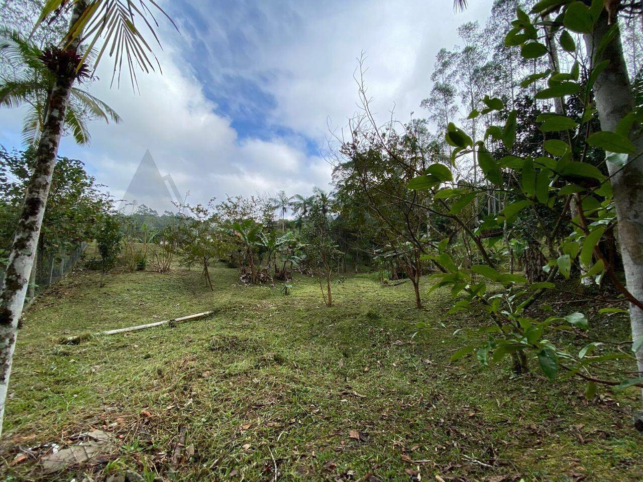 Lote à venda no Sao pedro: 