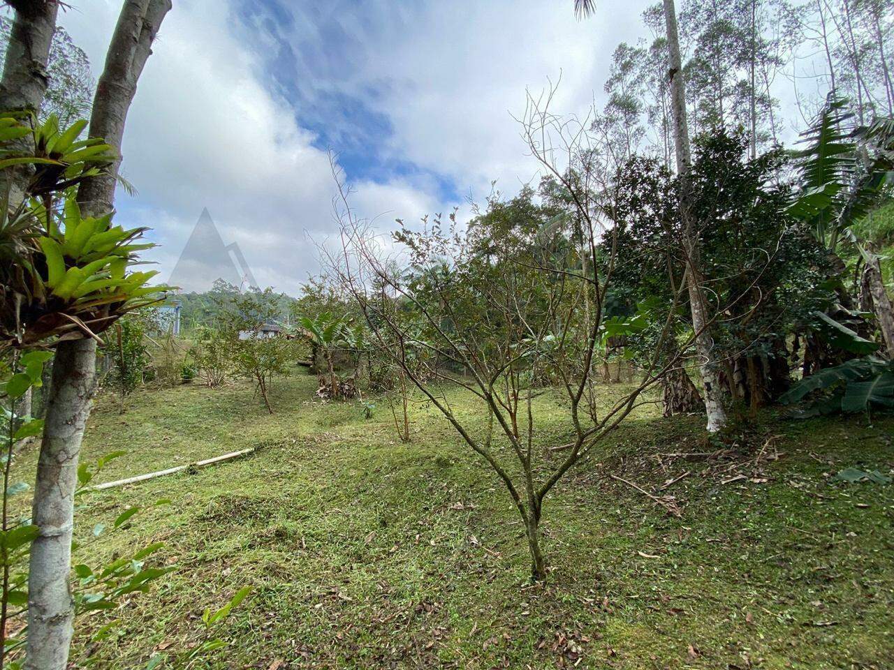 Lote à venda no Sao pedro: 