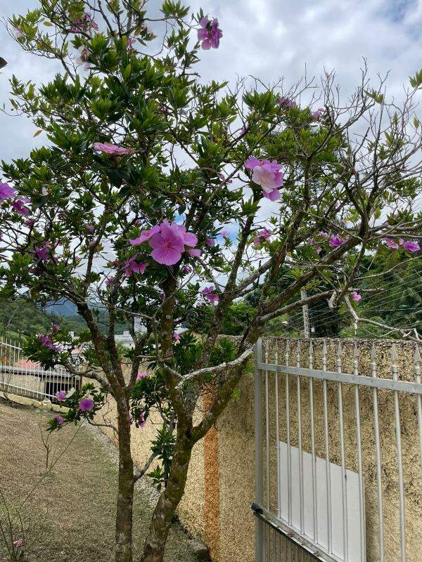 Apartamento à venda no São Luiz: 