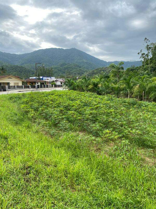 Lote à venda no Aimoré: 