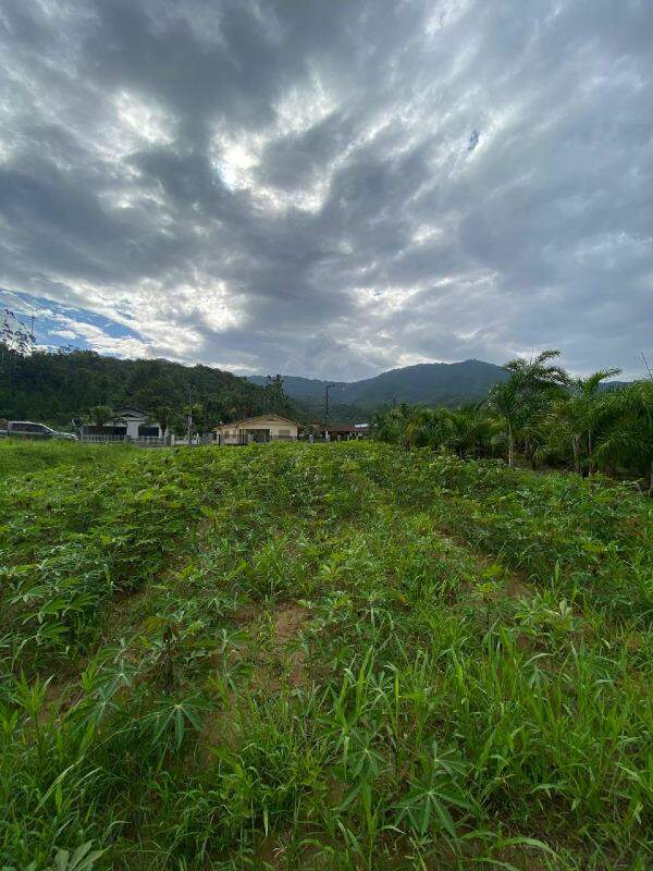 Lote à venda no Aimoré: 