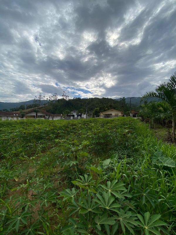 Lote à venda no Aimoré: 