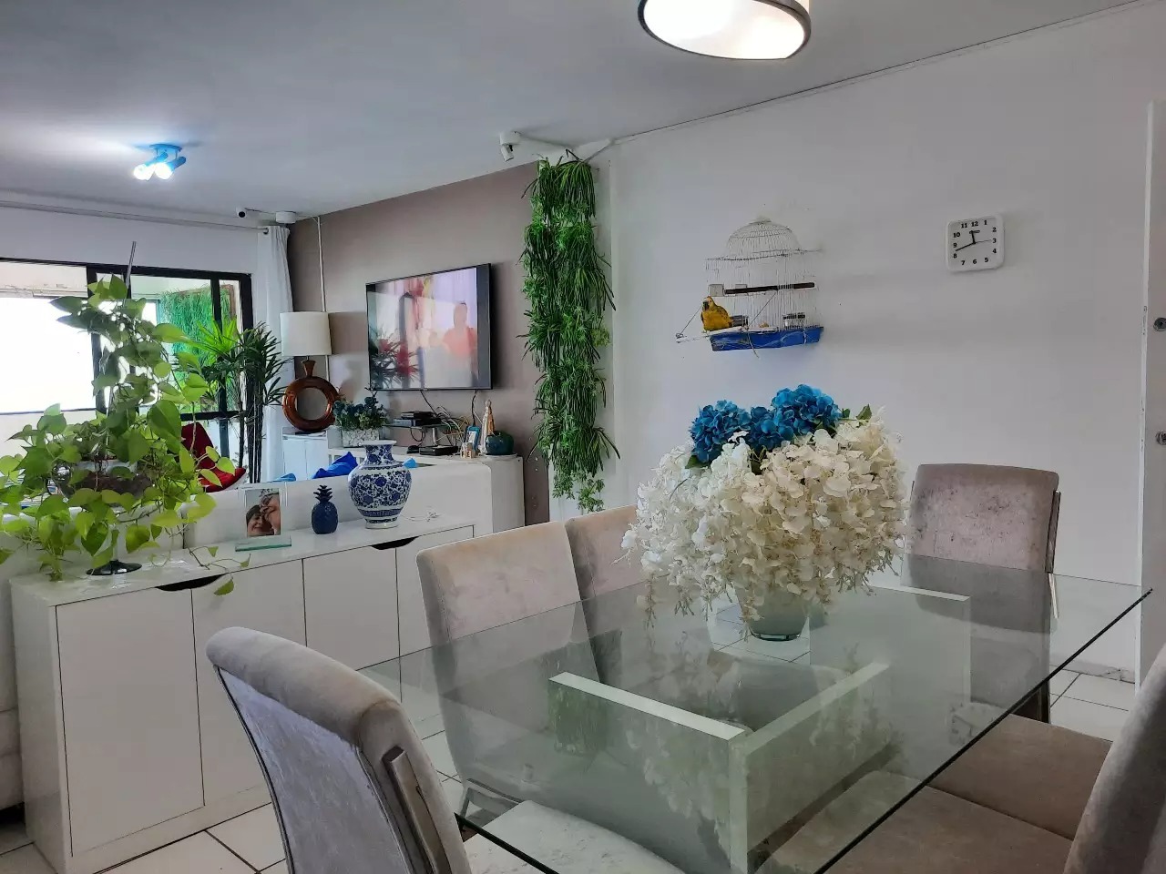 Apartamento à venda no Boa Viagem: 