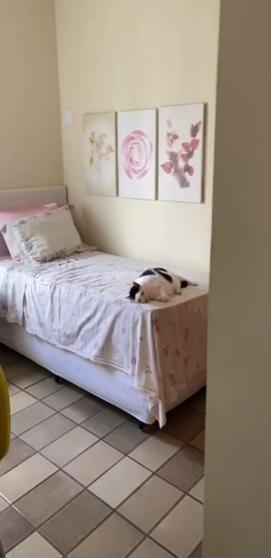 Apartamento à venda no Boa Viagem: 