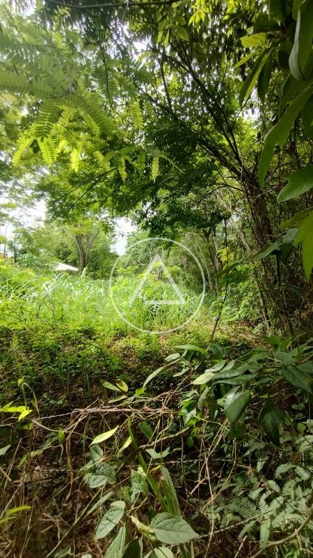Terreno à venda no Granja dos Cavaleiros: 