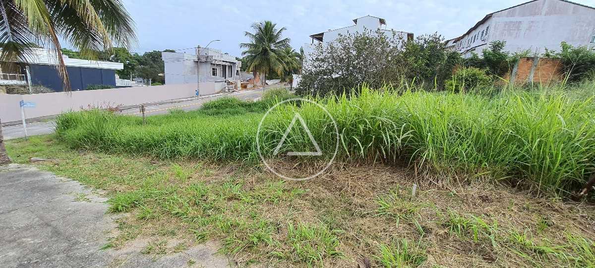 Terreno à venda no Lagoa: 