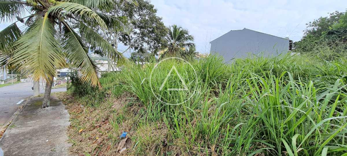 Terreno à venda no Lagoa: 