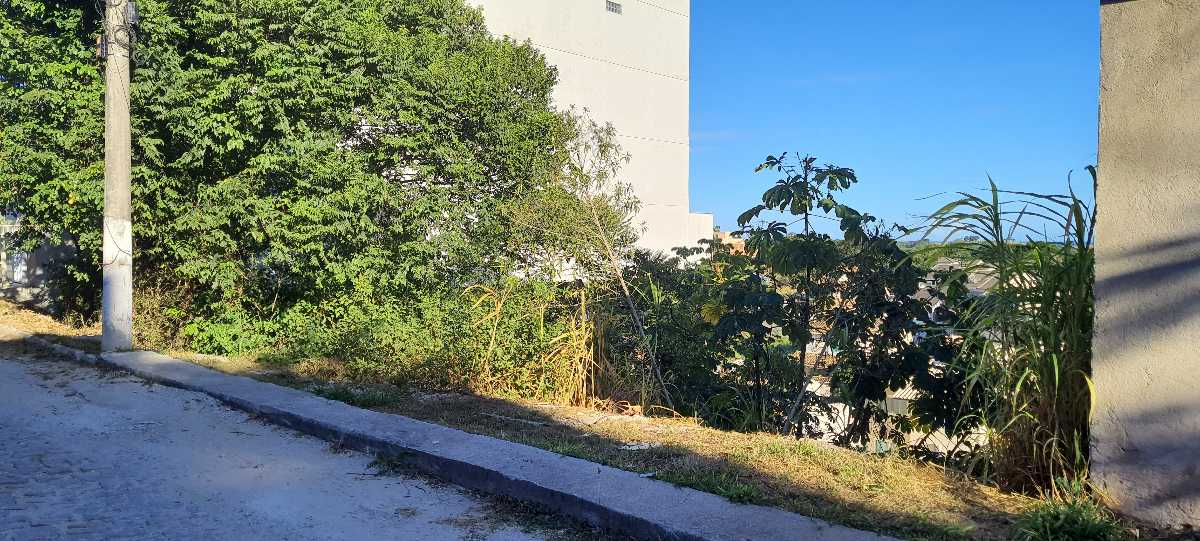 Terreno à venda no Jardim Guanabara: 