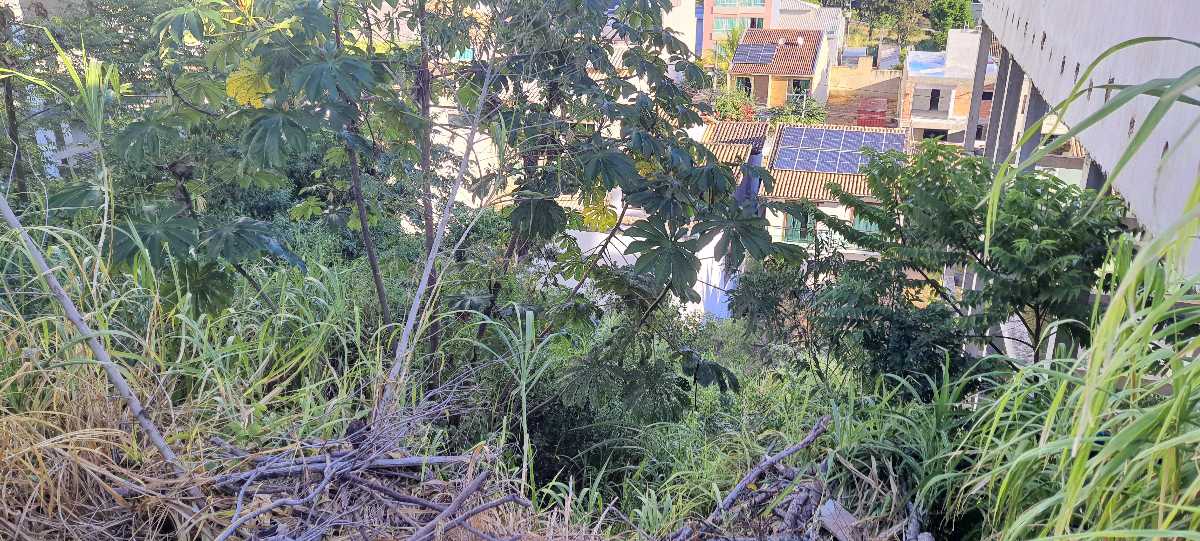 Terreno à venda no Jardim Guanabara: 