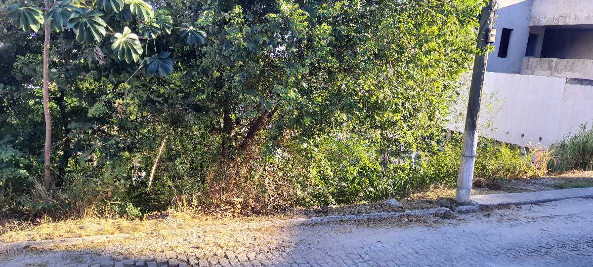 Terreno à venda no Jardim Guanabara: 