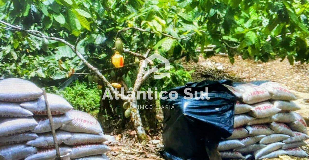 Área à venda no Castelo Novo: 