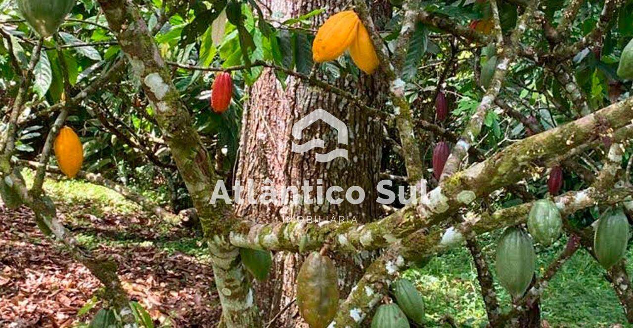 Área à venda no Castelo Novo: 