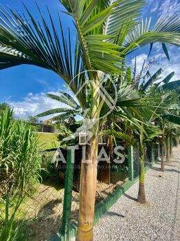 Fazenda/Sítios/Chácaras de 3 quartos, 200m² no bairro Dom Joaquim, em Brusque | Eu Corretor