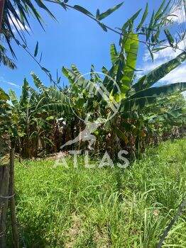 Lote/Terreno no bairro Santa Terezinha, em Brusque | Eu Corretor