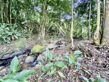 Fazenda/Sítios/Chácaras de 3 quartos, 95m² no bairro Moura, em Canelinha | Eu Corretor