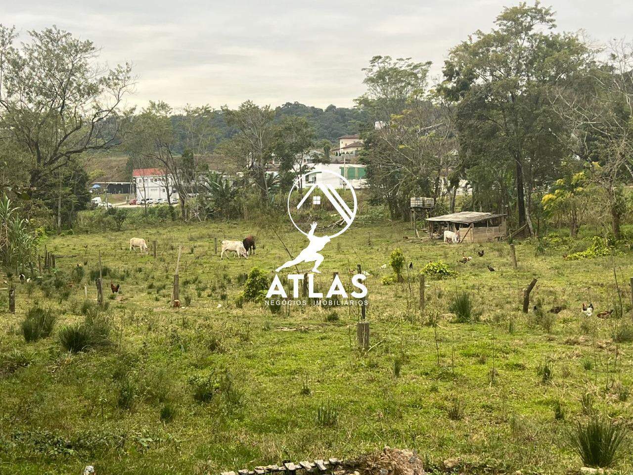 Lote/Terreno de 6412m² no bairro Rio Branco, em Brusque | Eu Corretor