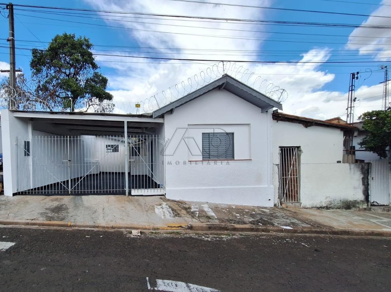 PAULISTA, PIRACICABA