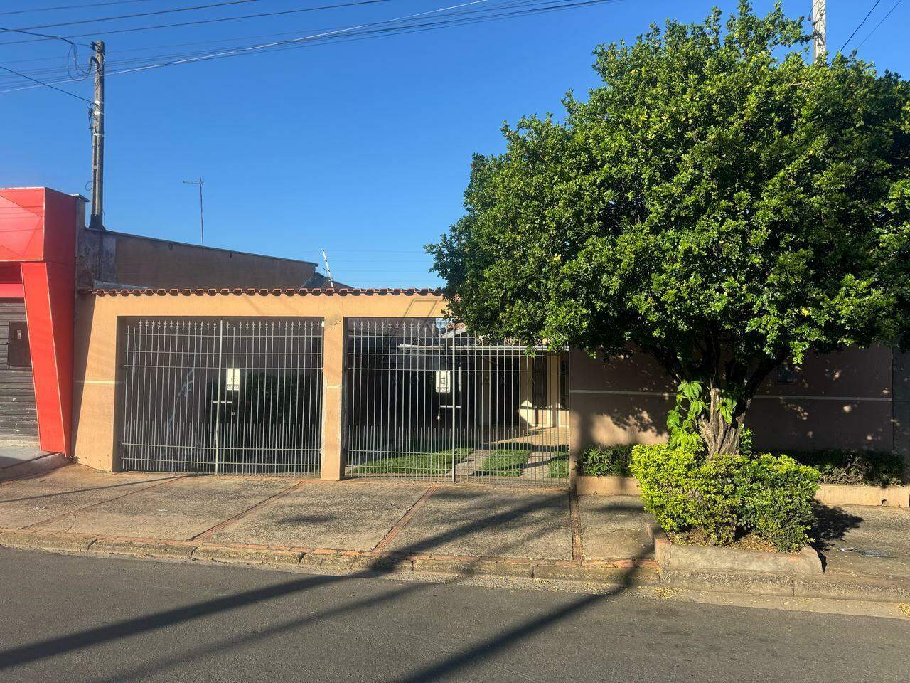 PAULICEIA, PIRACICABA