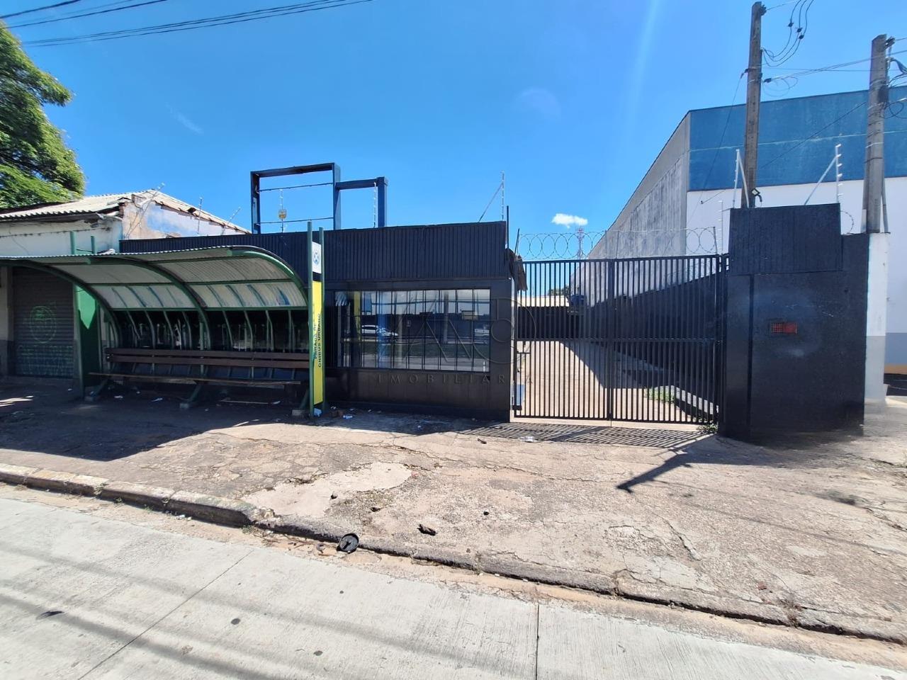 Areão, PIRACICABA Areão, PIRACICABA