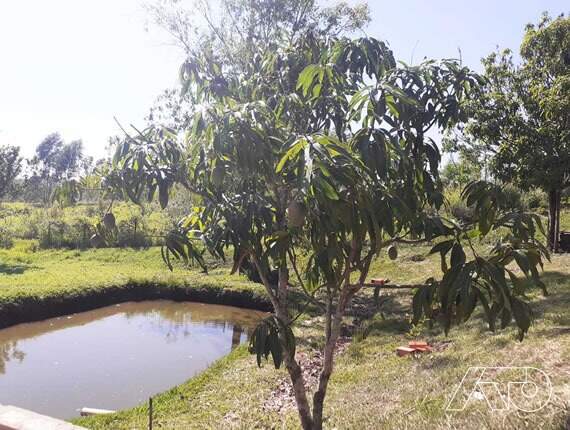 Chácara à venda no TUPI: 