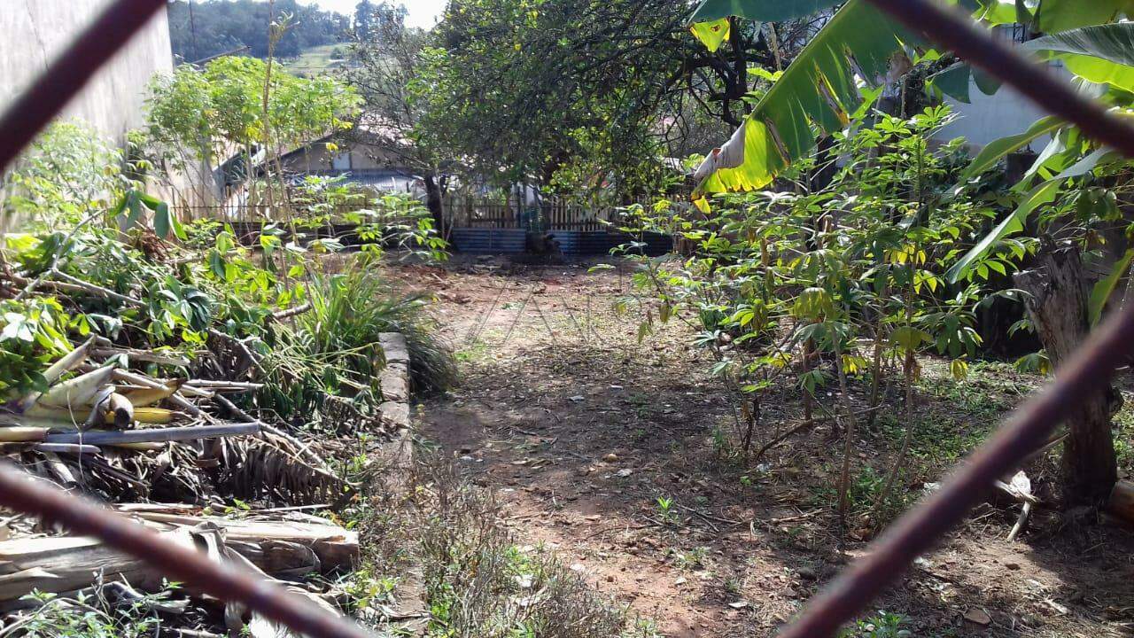 Terreno à venda no PARQUE PEORIA (TUPI): 