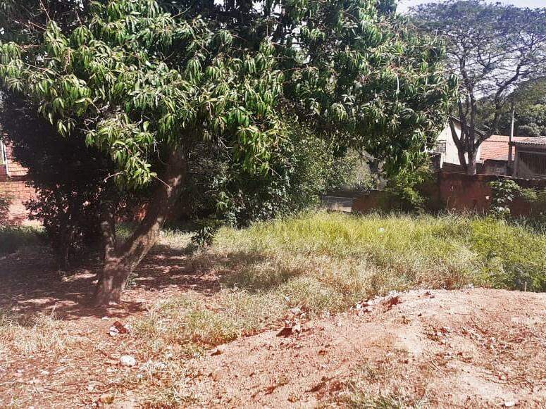 Terreno à venda no PARQUE CHAPADAO: 