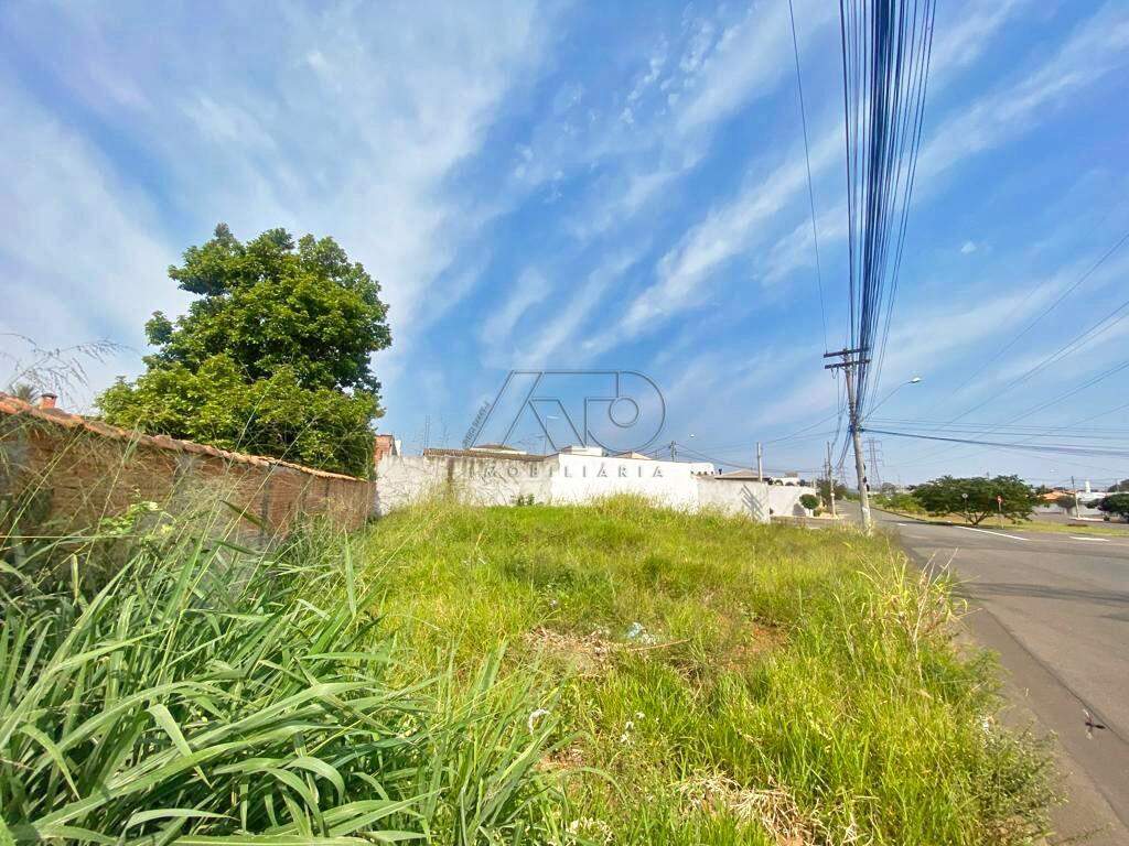 Terreno à venda no AGUA BRANCA: 