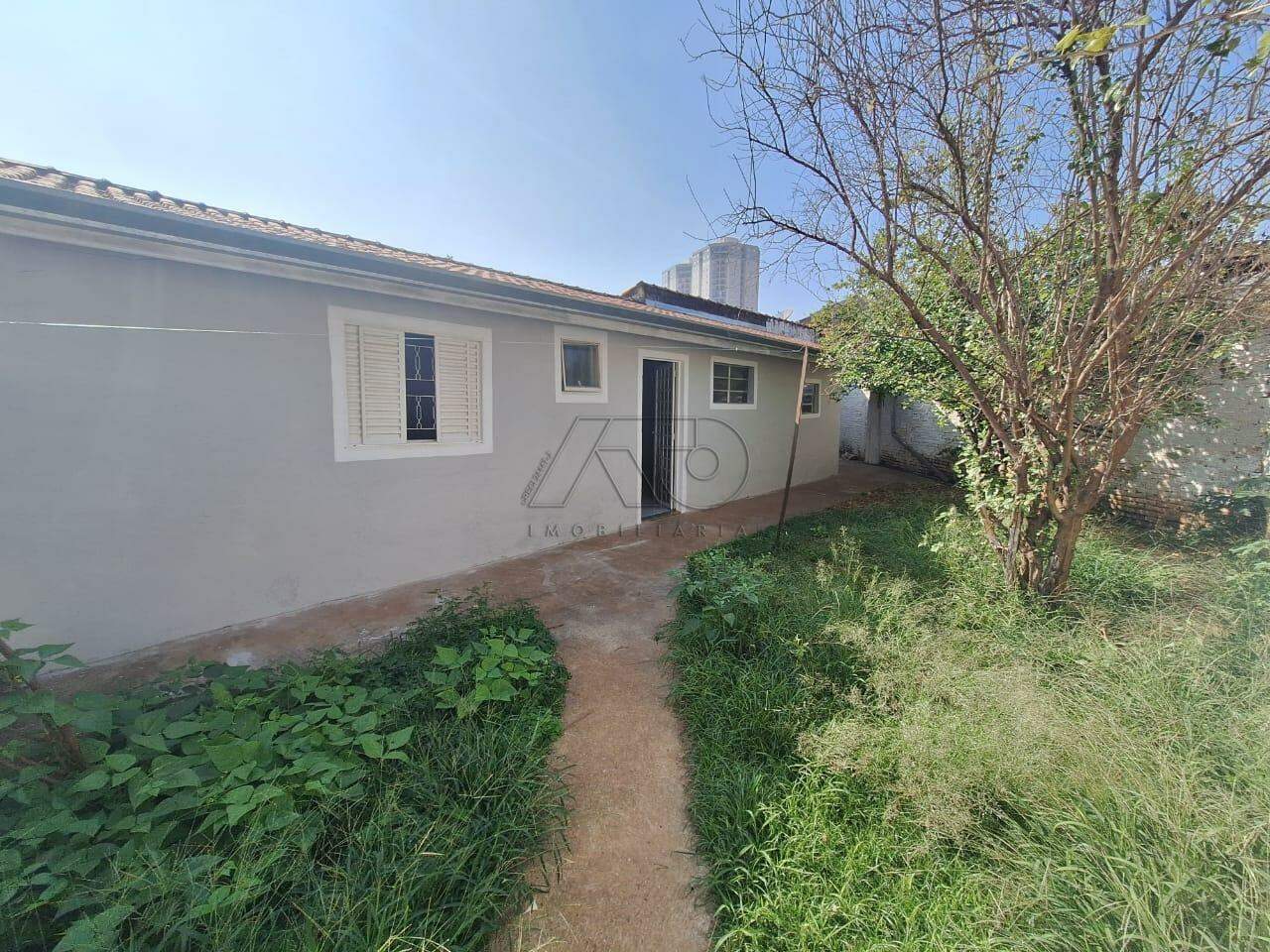 PAULICEIA, PIRACICABA