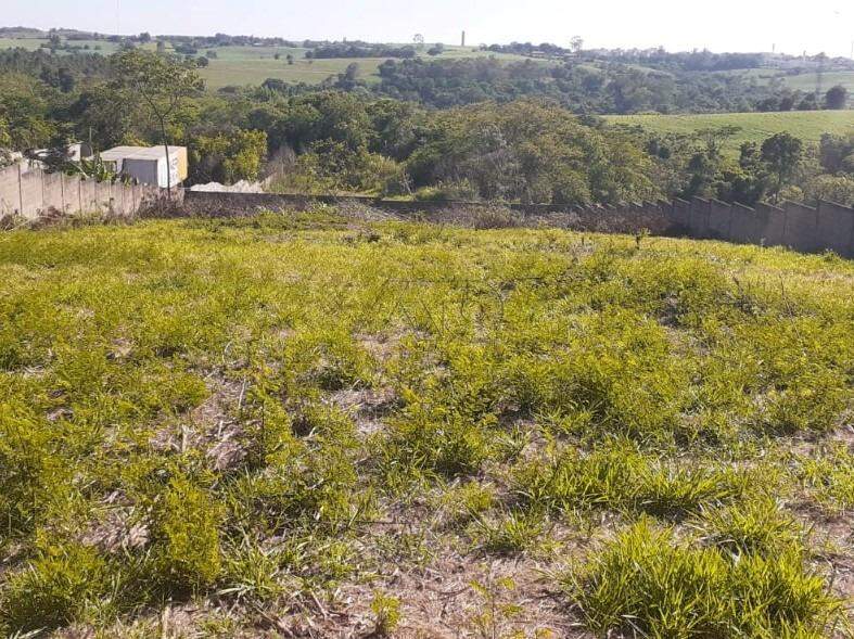 Terreno à venda no Pau D'Alhinho: 