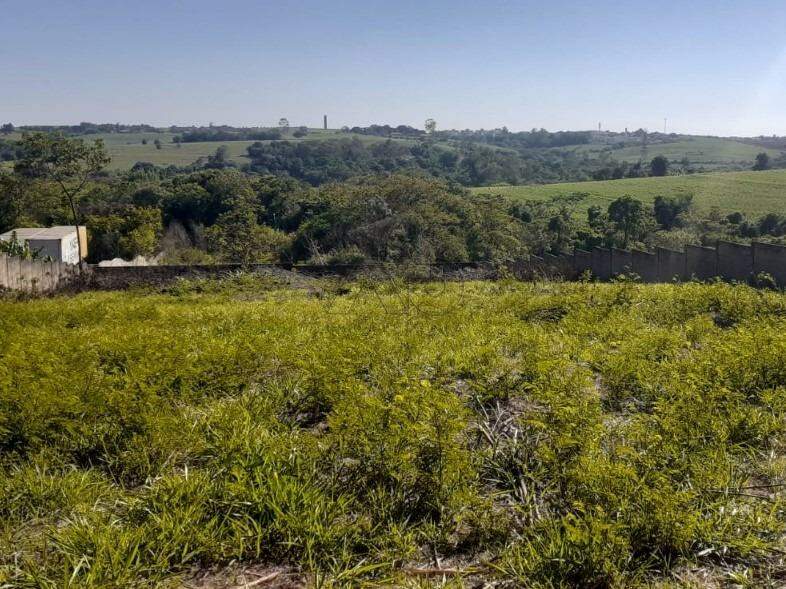 Terreno à venda no Pau D'Alhinho: 