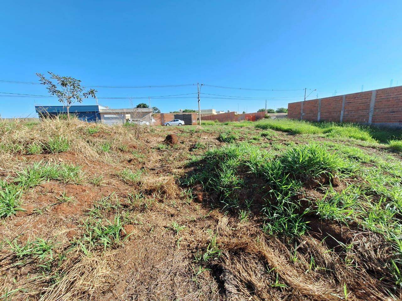 Terreno à venda no Jardim São Francisco: 5