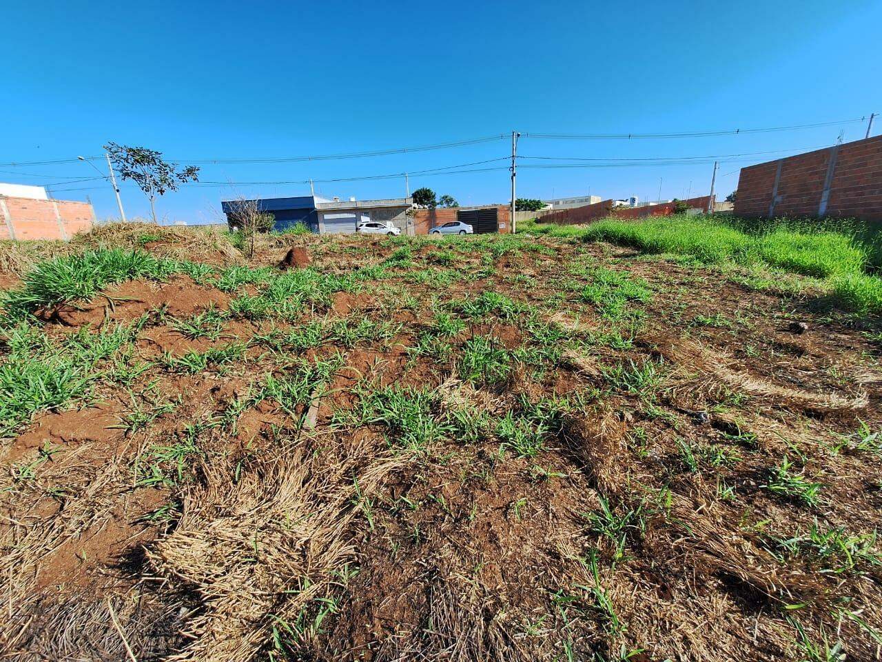 Terreno à venda no Jardim São Francisco: 4