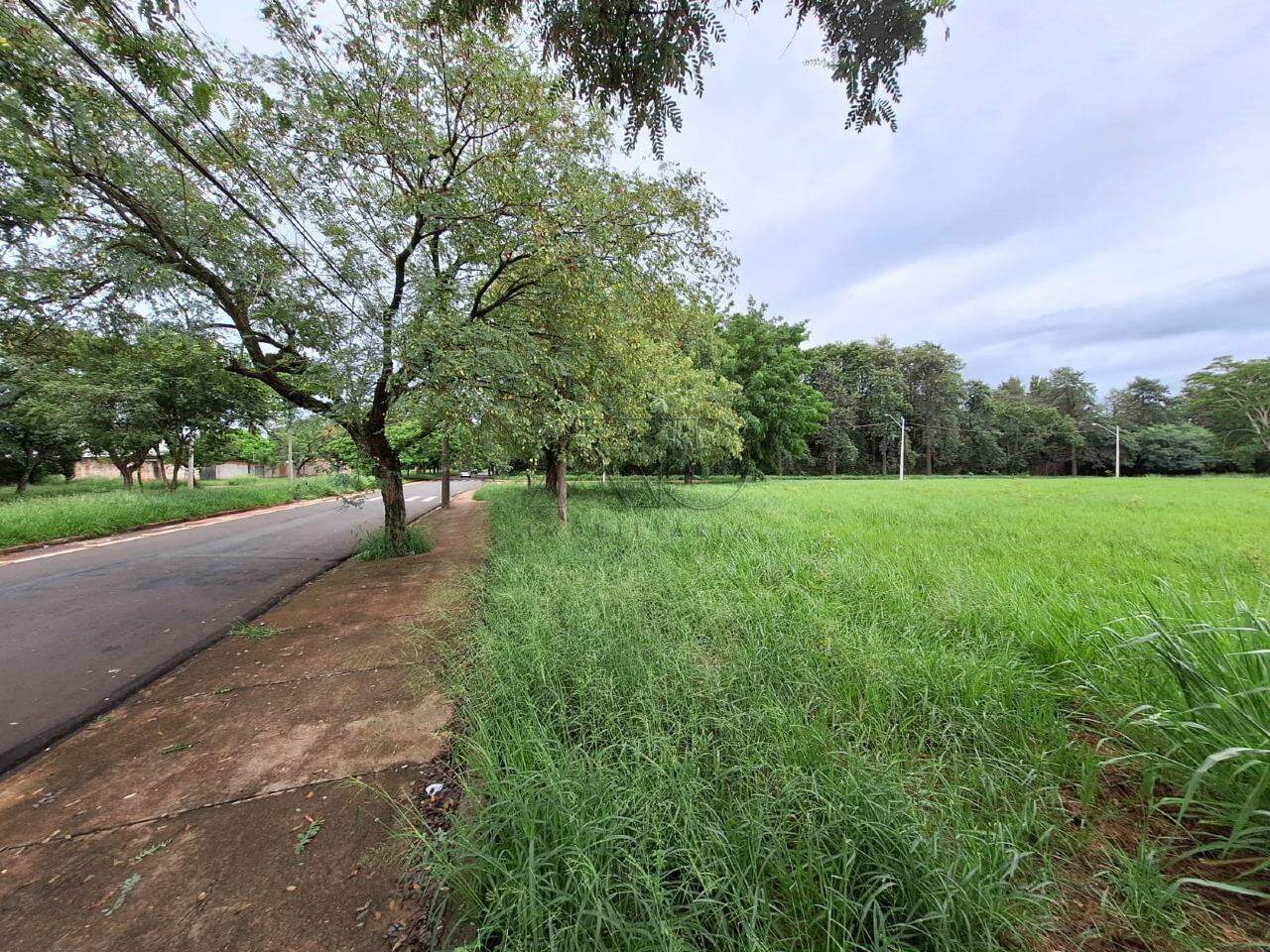 Terreno à venda no SANTA RITA: 11