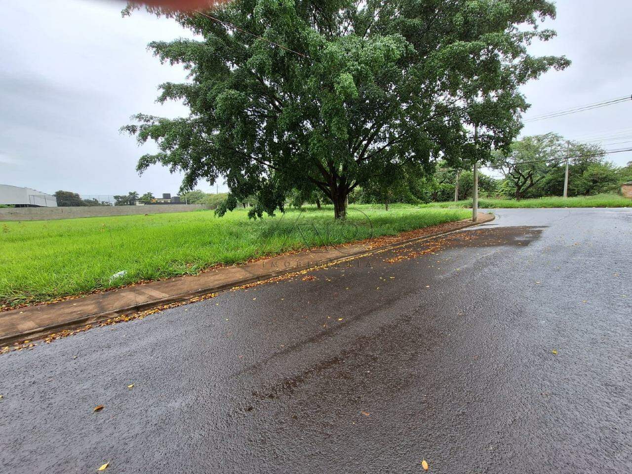 Terreno à venda no SANTA RITA: 4