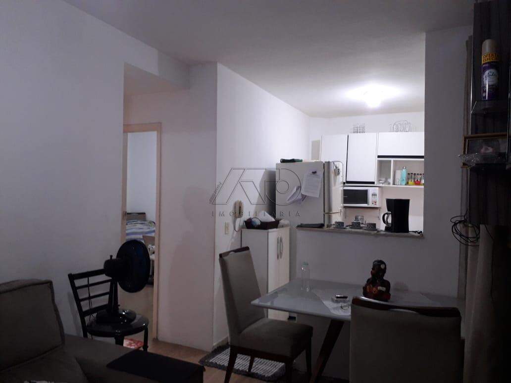 Apartamento para aluguel no ONDAS: 2