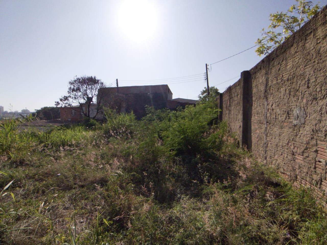 Terreno à venda no PAULICEIA: 4