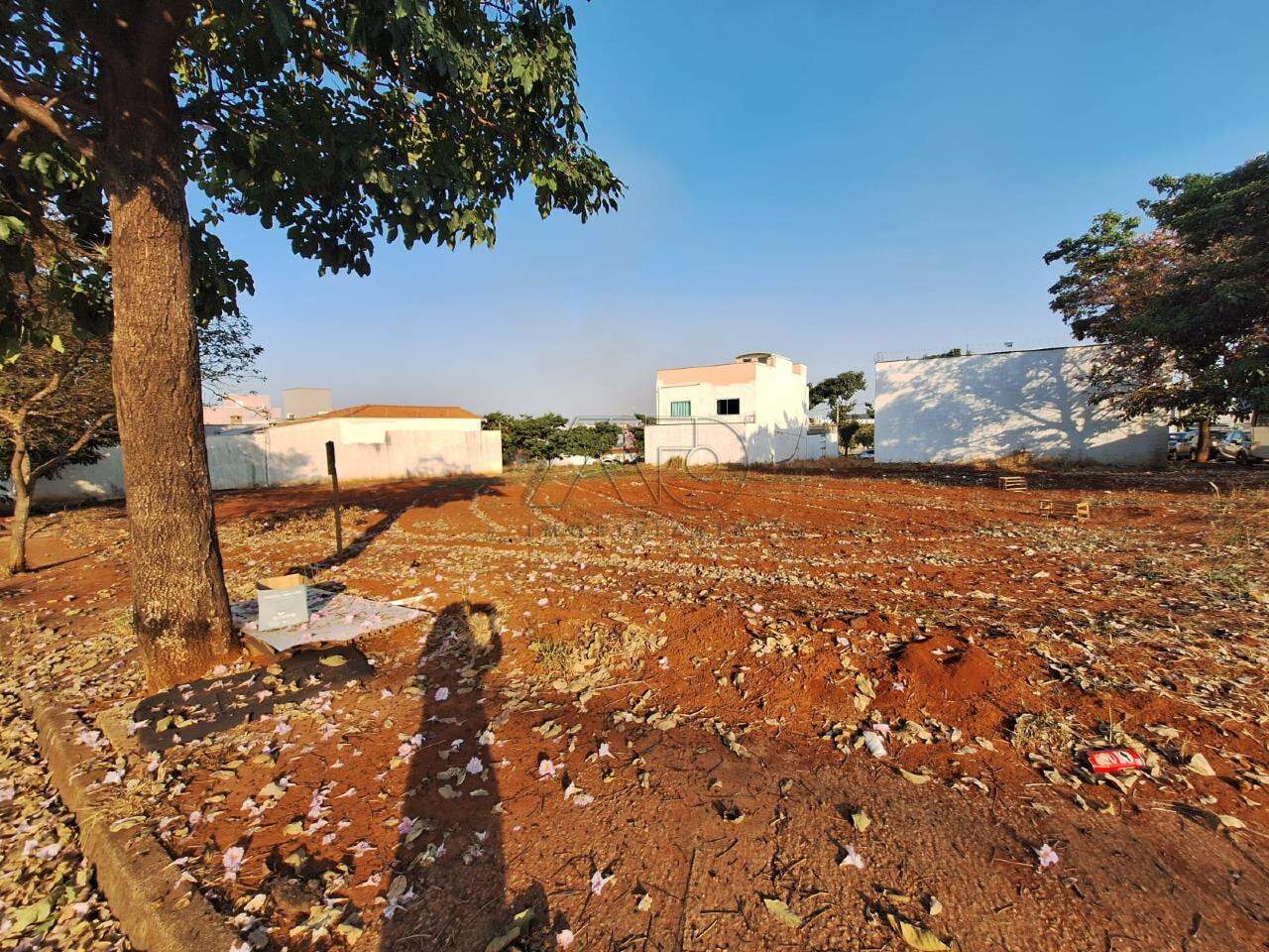 Terreno à venda no JARDIM BERTOLUCCI: 5