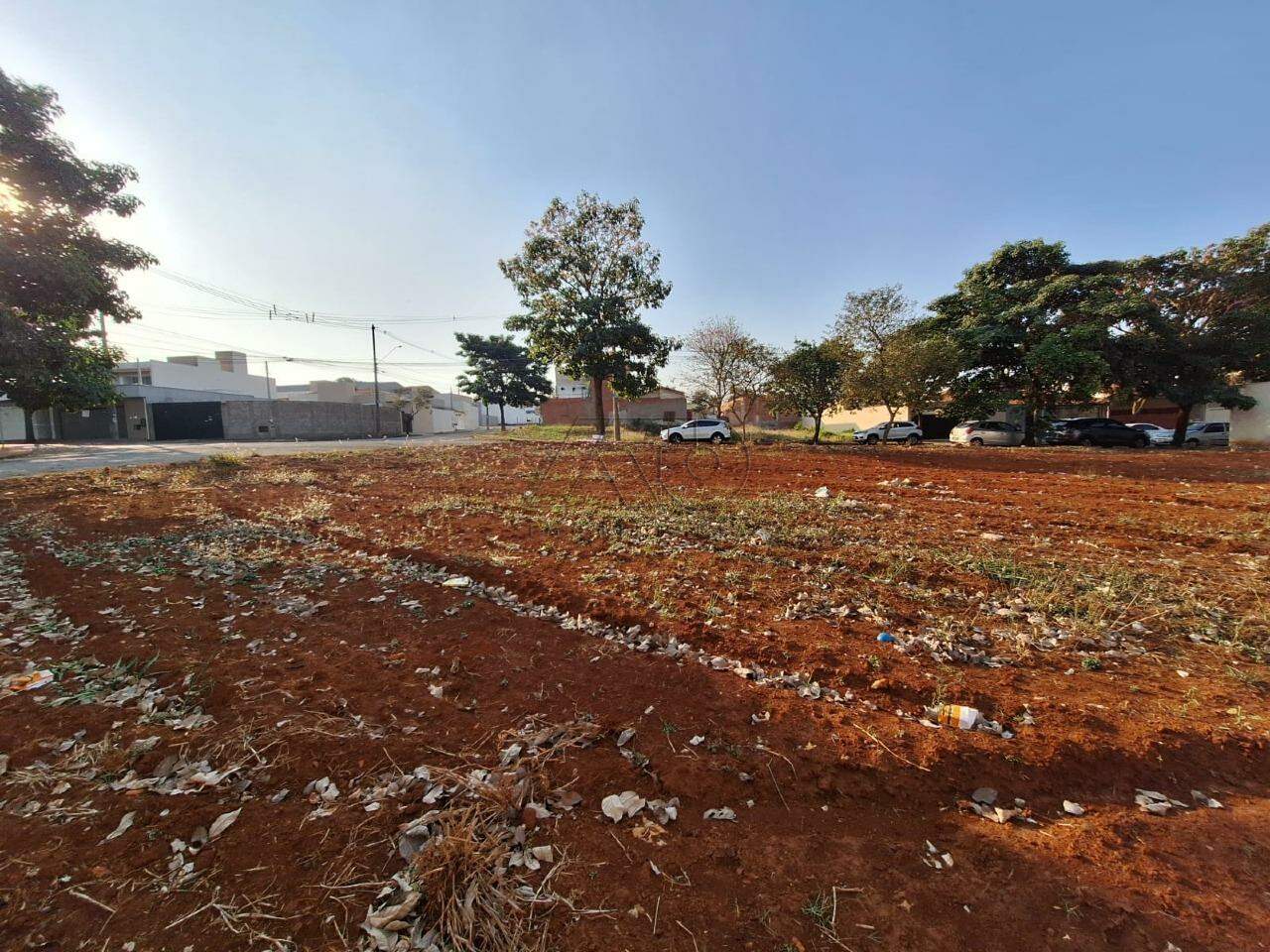 Terreno à venda no JARDIM BERTOLUCCI: 4