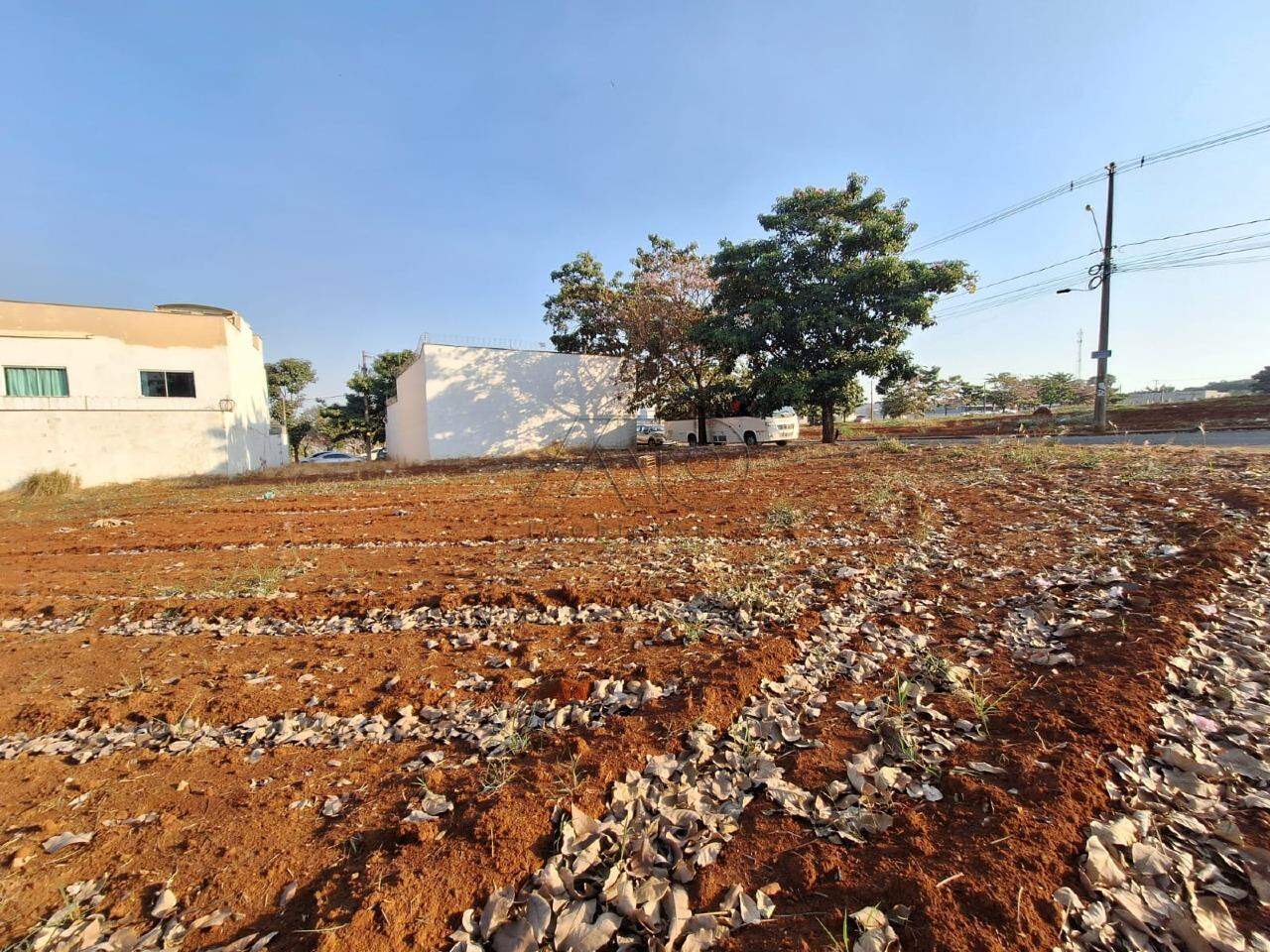 Terreno à venda no JARDIM BERTOLUCCI: 2