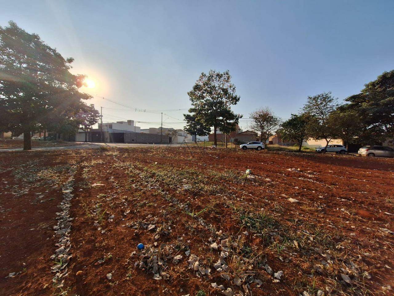 Terreno à venda no JARDIM BERTOLUCCI: 6