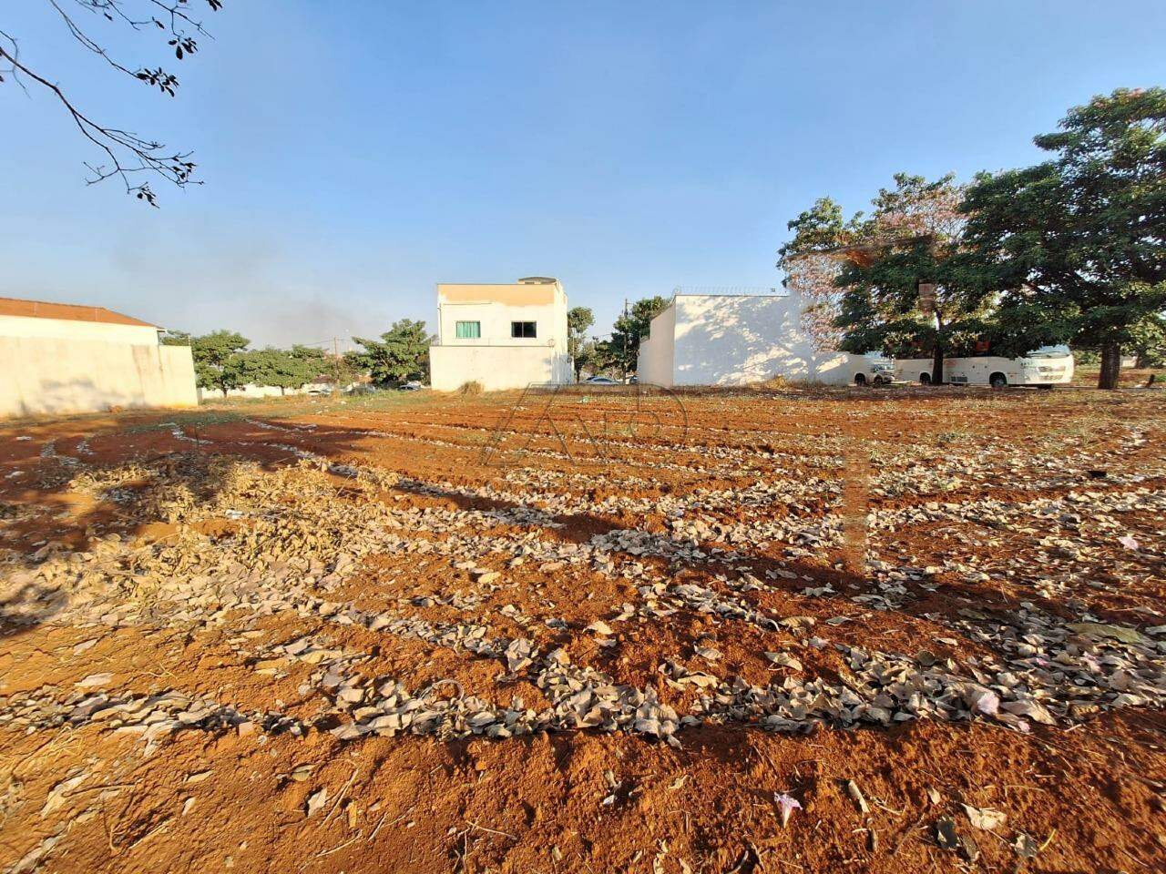 Terreno à venda no JARDIM BERTOLUCCI: 1